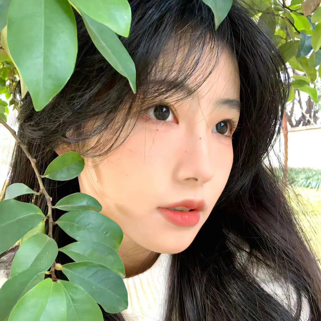 与狼共伍
